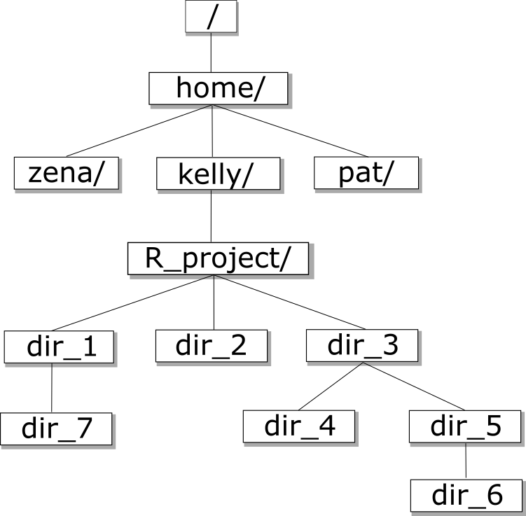 Directory Tree